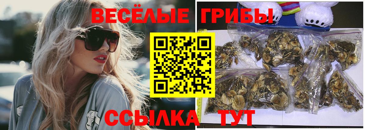 Псилоцибиновые грибы мицелий  Вход с VPN  Ейск  Галлюциногенные грибы MAGIC MUSHROOMS 