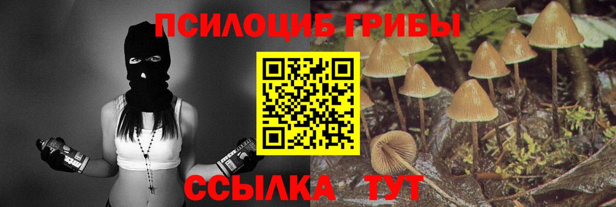 Галлюциногенные грибы прущие грибы Ейск